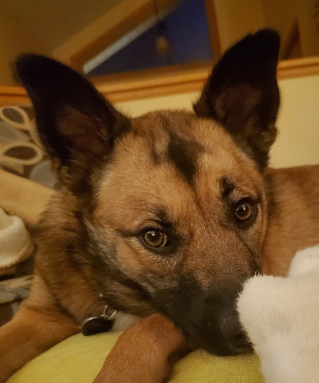 Frida