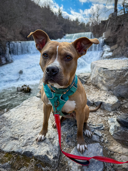 Brooke (formerly Dulce)