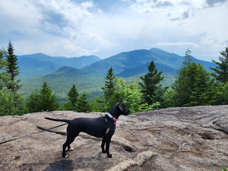 Pepper( formerly Princess)