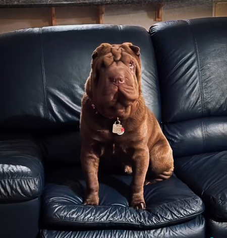Winston