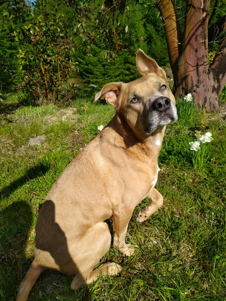 Duke