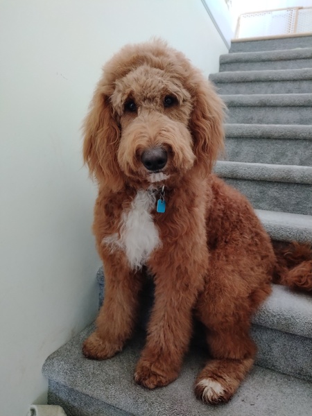 Billy