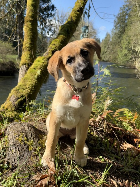 Nootka Lou