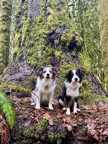 Karma & Kodak