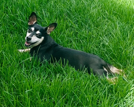 Coco