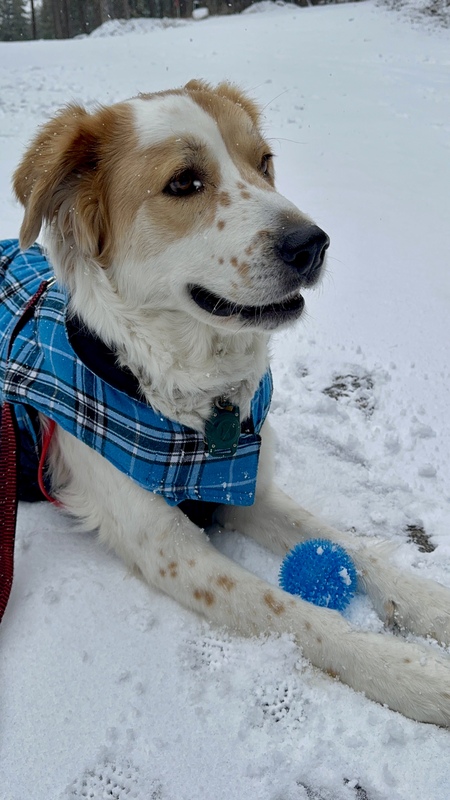 Finnegan