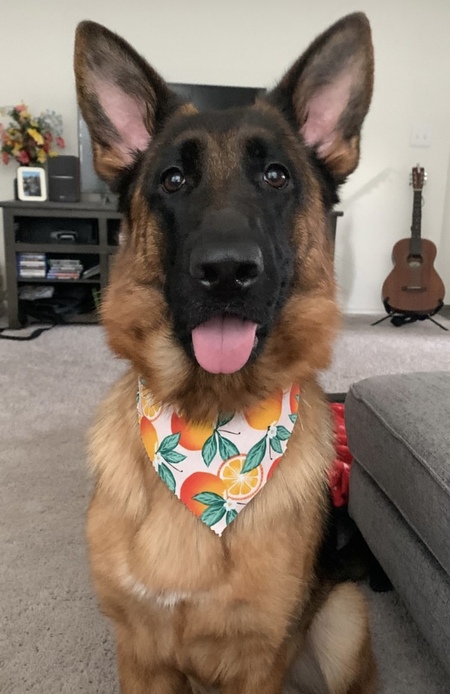 Josie