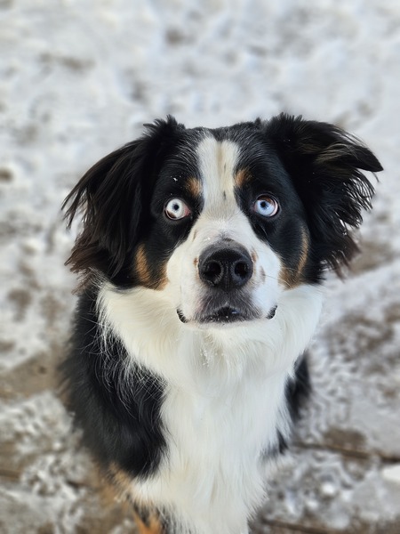 Sam