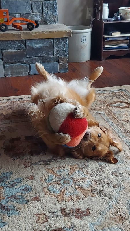 Samantha