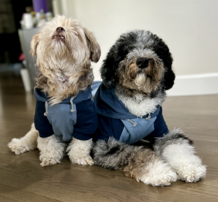 Penne & Benji