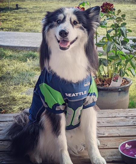 Zeus