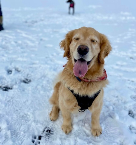 Cooper 