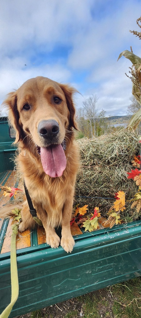 Gus
