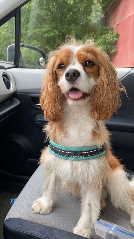Milo