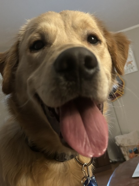 Louie 
