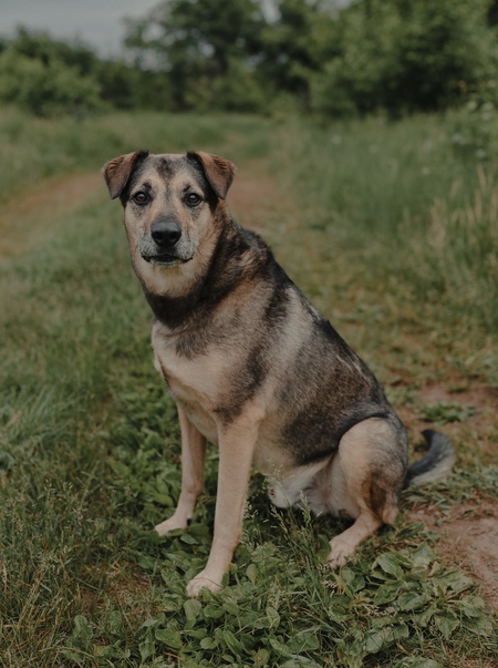 Radar