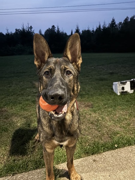 Jax