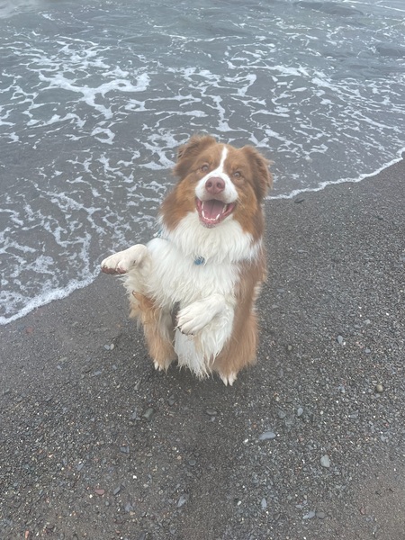 Tim