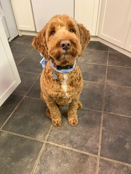 Parker