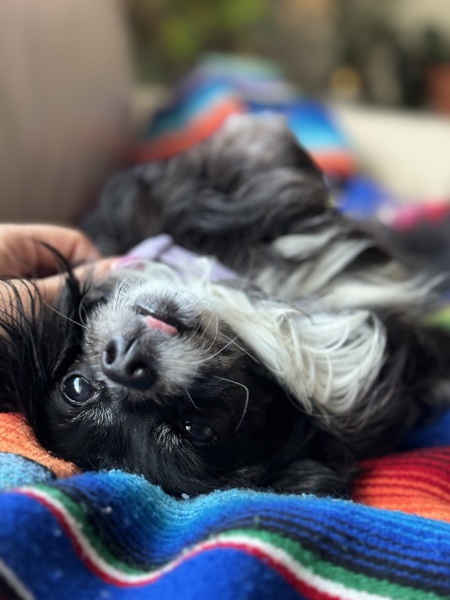 Penny