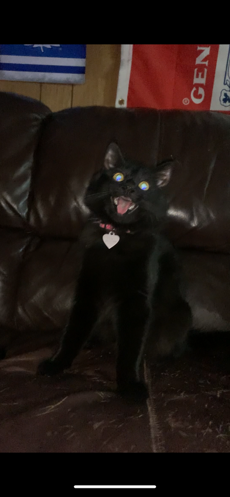 Luna