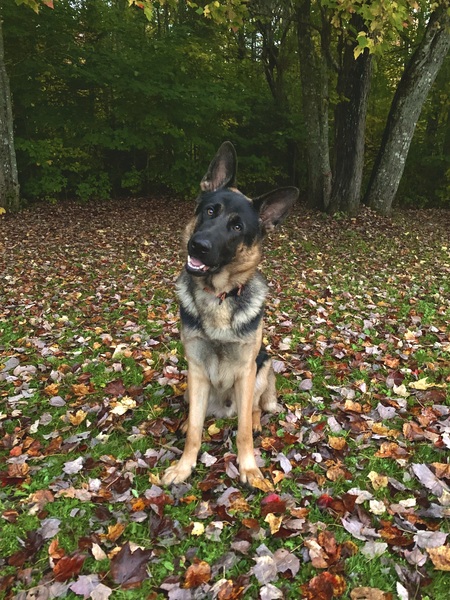 Max