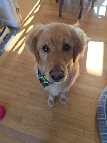 Milo