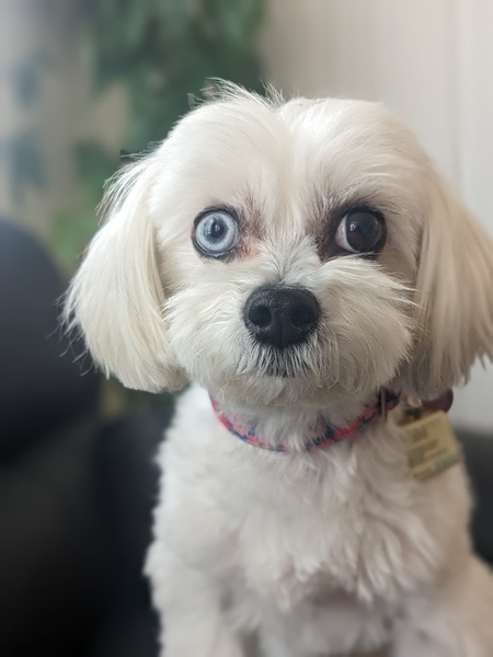 Chloe