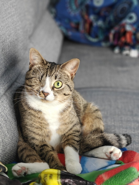 Lucy