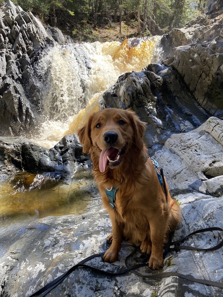 Cosmo