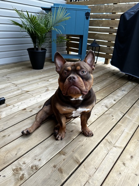 Frank