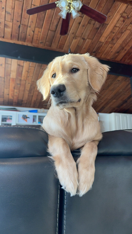 Ellie