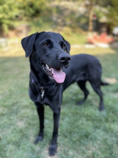 Nyx