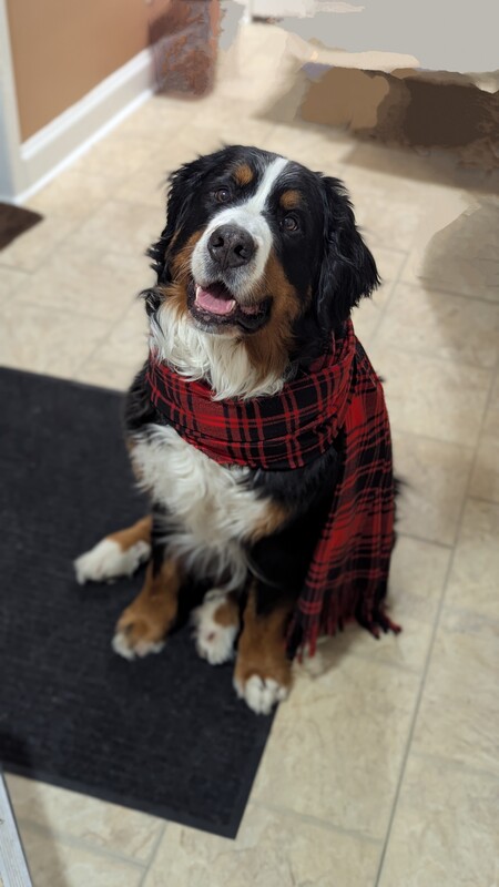 Beau