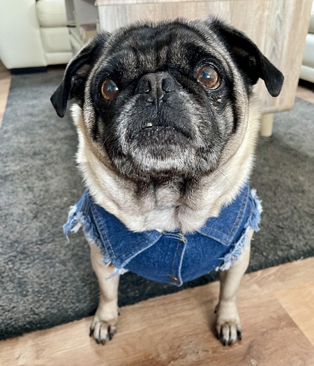 Max