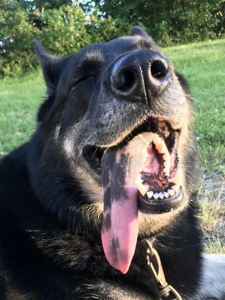 Ellie