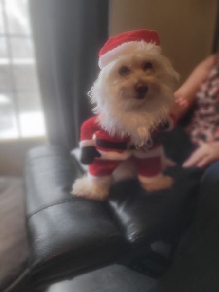 Oliver