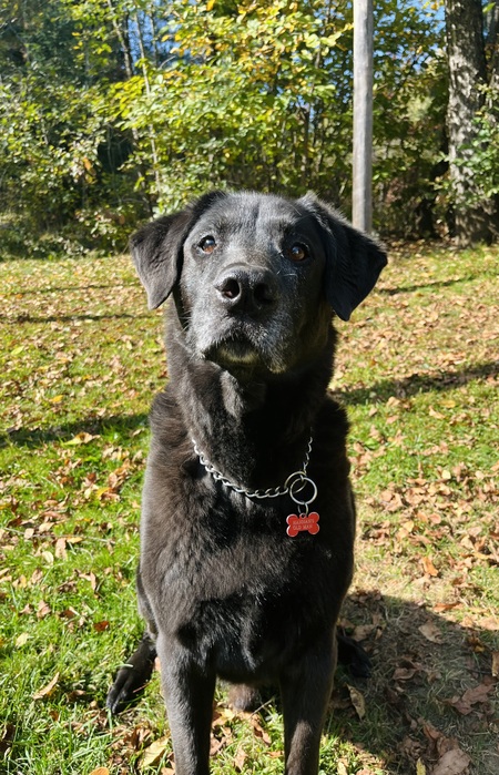 Duke