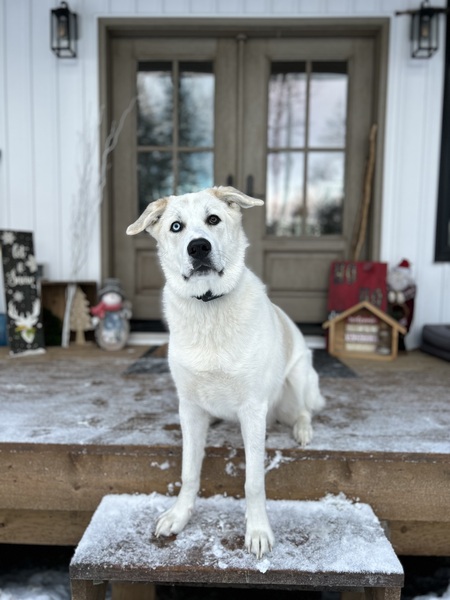 Walter goes by Wally