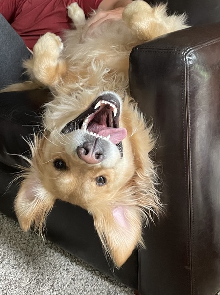 Wilson