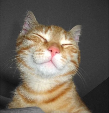 Ginger