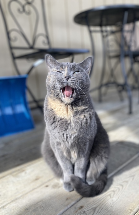 Nala