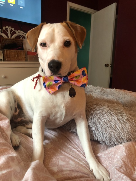 Murphy 