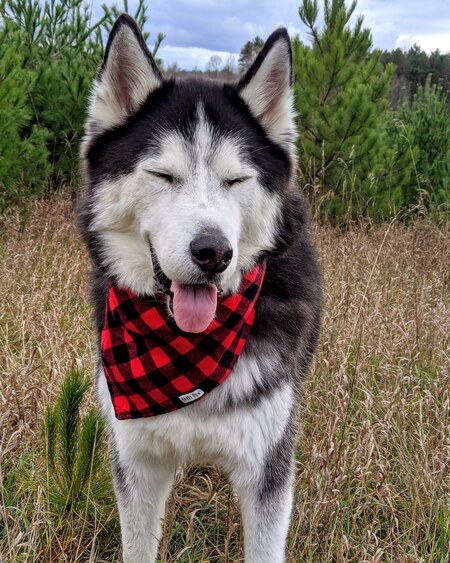 Takota