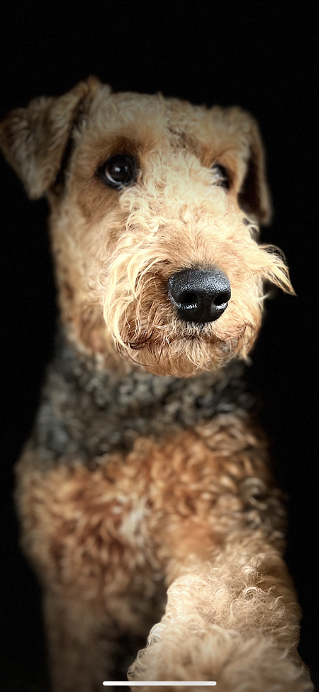 Ruger Mae