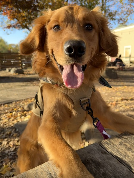 Casey