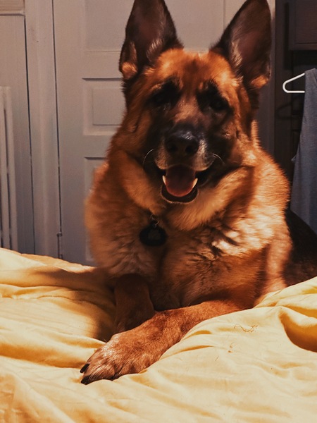 Klaus