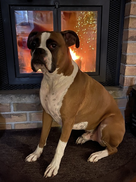 Tyson