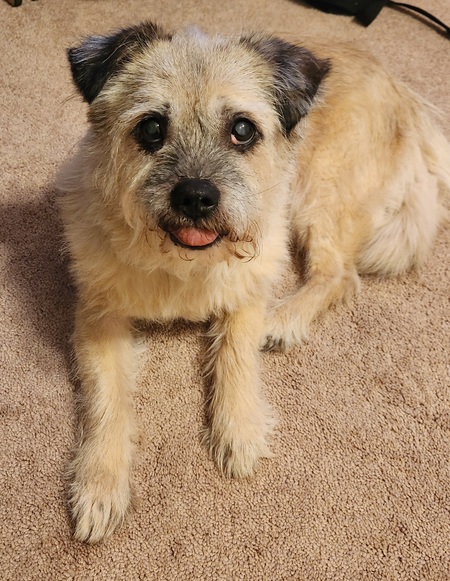 Otis