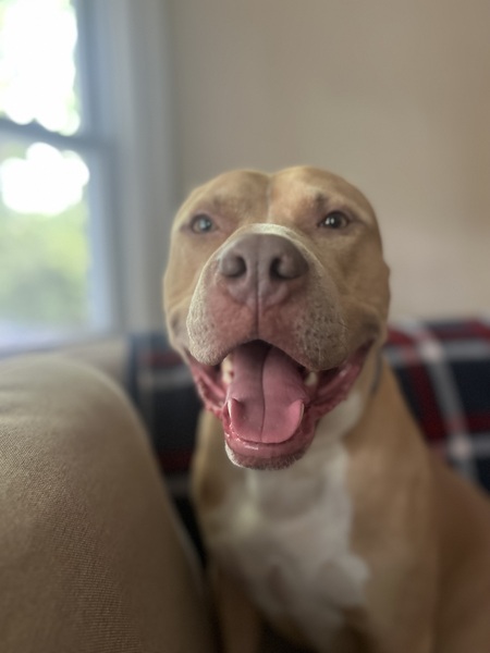 Donnie